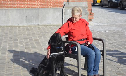 Vrijwilligster en zwarte assistentiehond zitten buiten in de zon voor een gebouw. De vrijwilligerster zit op een bank, de hond zit naast haar op de grond.